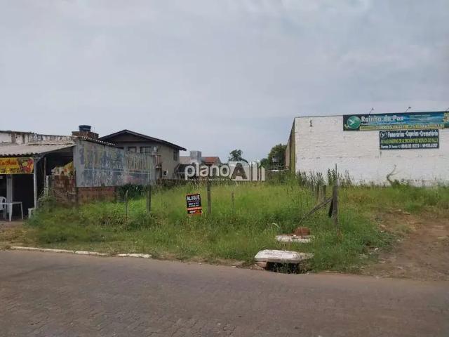 Terreno venda em Gravataí
