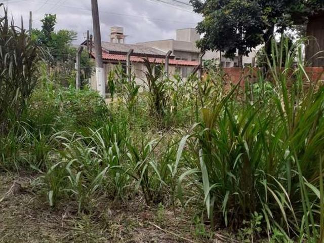 Terreno venda em Gravataí