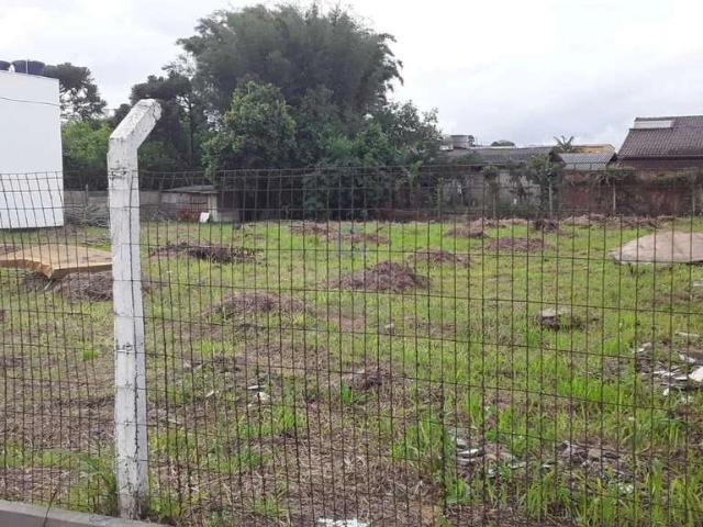 Terreno venda em Gravataí