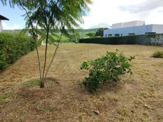 Terreno venda em Região Geográfica Imediata de Caruaru, Gravata