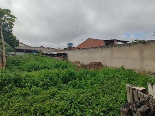 Terreno venda em Região Geográfica Imediata de Caruaru, Gravata