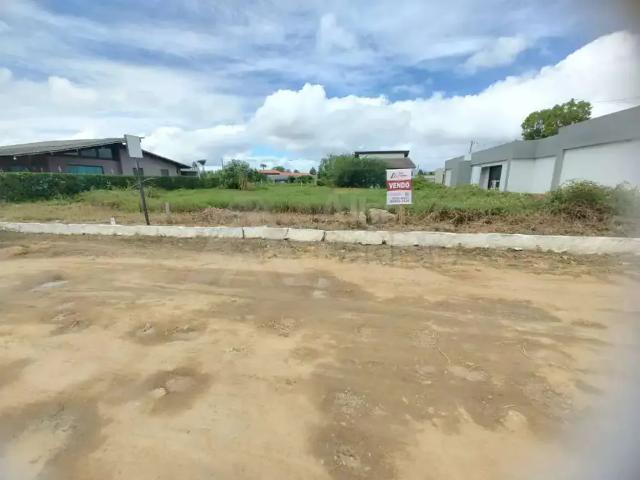 Terreno venda em Região Geográfica Imediata de Caruaru, Gravata