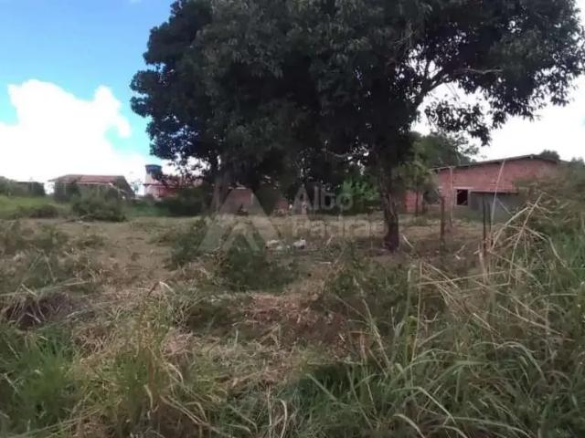 Terreno venda em Região Geográfica Imediata de Caruaru, Gravata