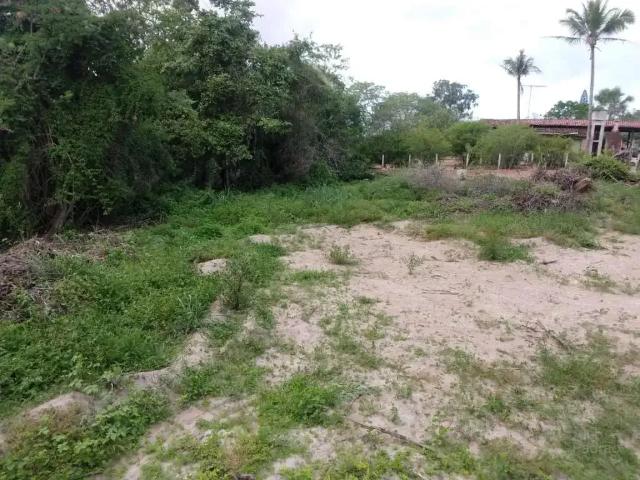 Terreno venda em Região Geográfica Imediata de Caruaru, Gravata