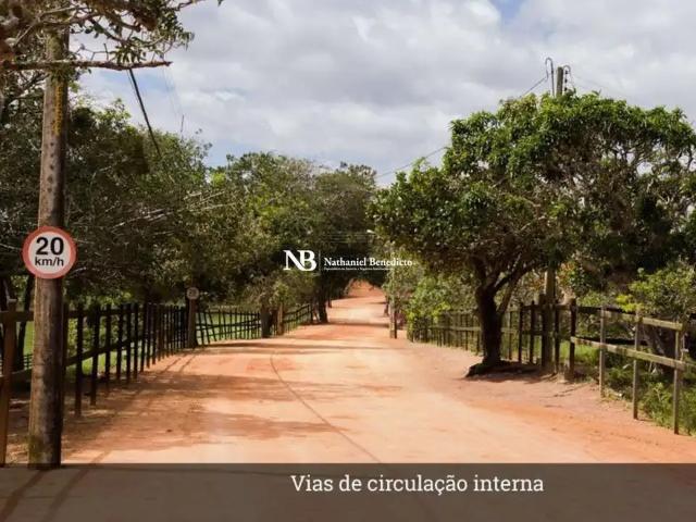 Terreno venda em Região Geográfica Imediata de Caruaru, Gravata
