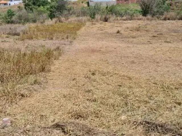 Terreno venda em Região Geográfica Imediata de Caruaru, Gravata