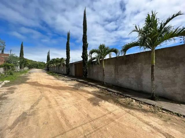 Terreno venda em Região Geográfica Imediata de Caruaru, Gravata