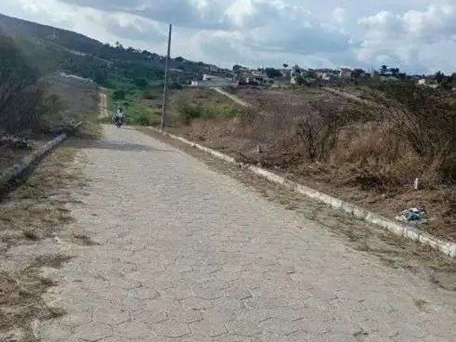 Terreno venda em Região Geográfica Imediata de Caruaru, Gravata