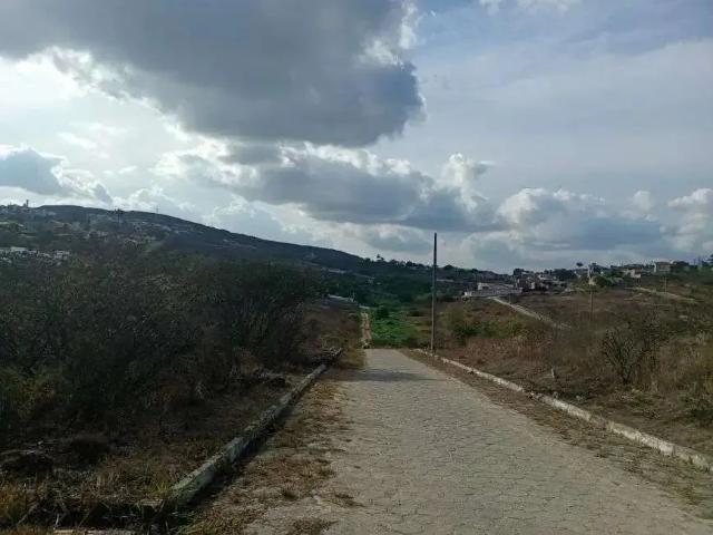 Terreno venda em Região Geográfica Imediata de Caruaru, Gravata