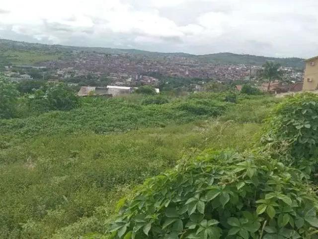 Terreno venda em Região Geográfica Imediata de Caruaru, Gravata