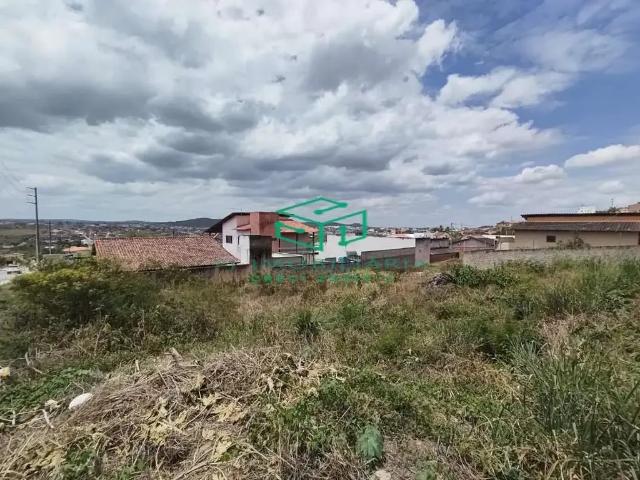 Terreno venda em Região Geográfica Imediata de Caruaru, Gravata