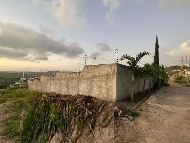 Terreno venda em Região Geográfica Imediata de Caruaru, Gravata