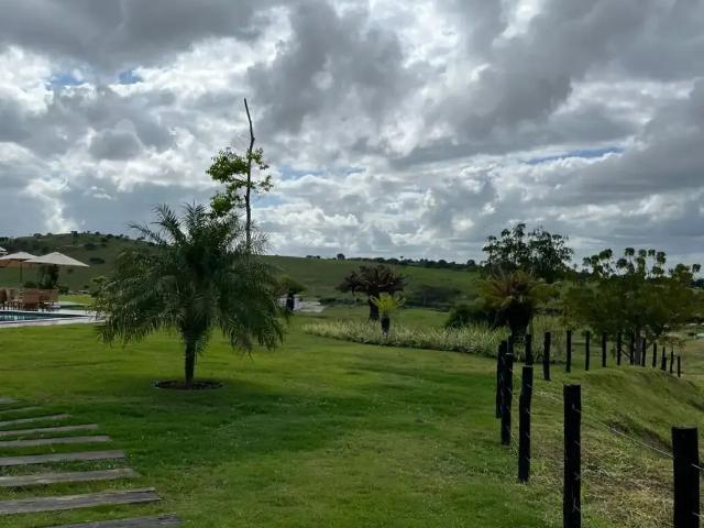 Terreno venda em Região Geográfica Imediata de Caruaru, Gravata