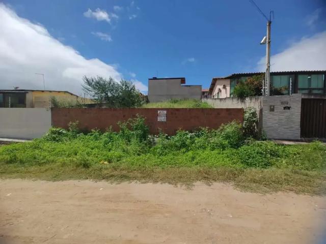 Terreno venda em Região Geográfica Imediata de Caruaru, Gravata