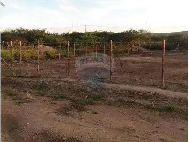 Terreno venda em Região Geográfica Imediata de Caruaru, Gravata