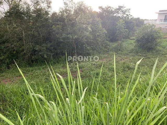 Terreno venda em Região Geográfica Imediata de Caruaru, Gravata