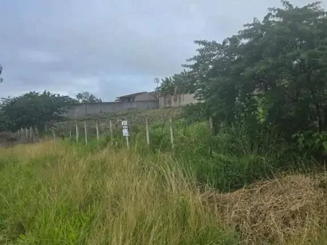 Terreno venda em Região Geográfica Imediata de Caruaru, Gravata