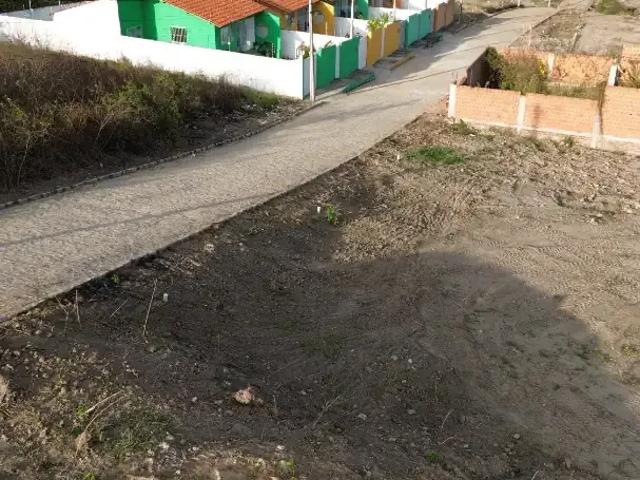Terreno venda em Região Geográfica Imediata de Caruaru, Gravata