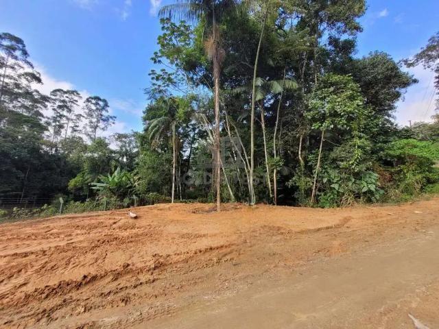 Terreno venda em Região Geográfica Imediata de Brusque, Guabiruba