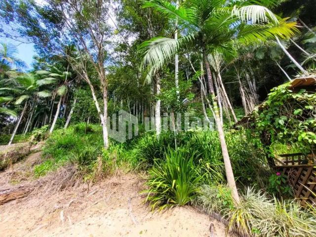 Terreno venda em Região Geográfica Imediata de Brusque, Guabiruba
