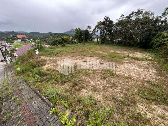 Terreno venda em Região Geográfica Imediata de Curitibanos, Curitibanos