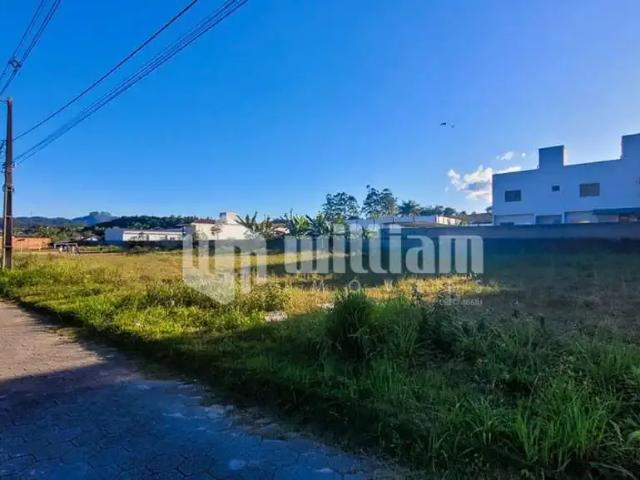 Terreno venda em Região Geográfica Imediata de Curitibanos, Curitibanos