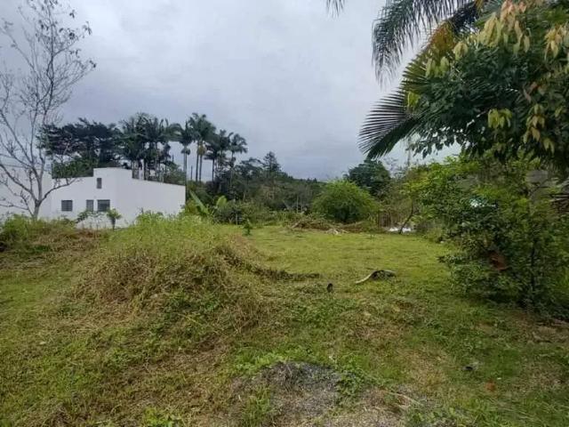 Terreno venda em Imigrantes, Guabiruba