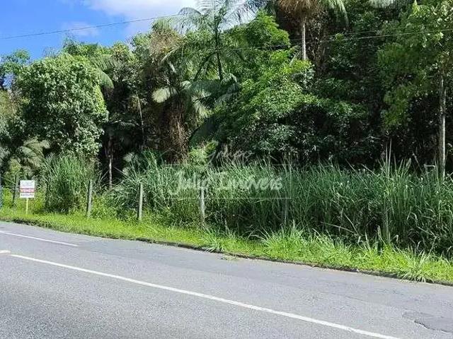 Terreno venda em Região Geográfica Imediata de Curitibanos, Curitibanos