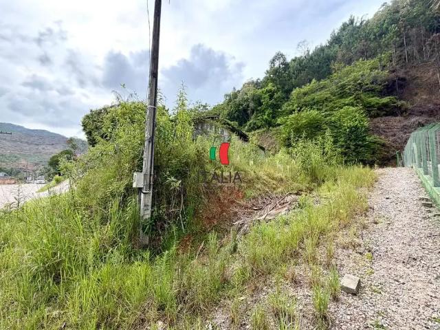 Terreno venda em Região Geográfica Imediata de Brusque, Guabiruba
