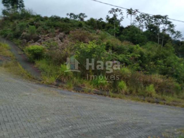 Terreno venda em Região Geográfica Imediata de Curitibanos, Curitibanos
