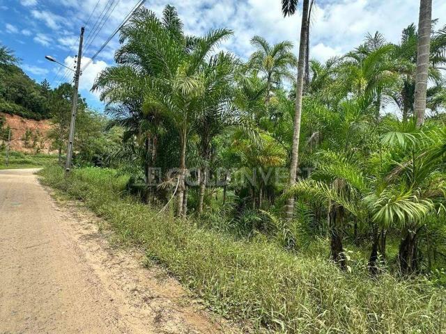 Terreno venda em Guabiruba Sul, Guabiruba