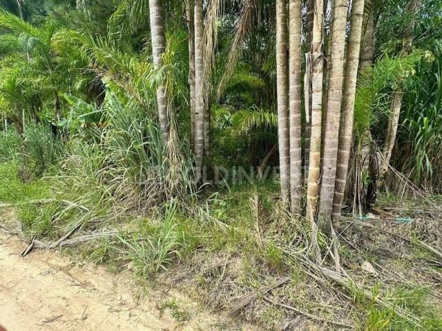 Terreno venda em Guabiruba Sul, Guabiruba