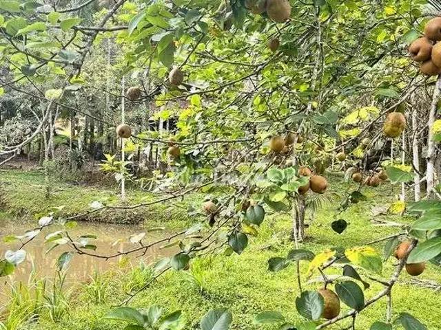 Terreno venda em Região Geográfica Imediata de Brusque, Guabiruba