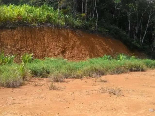 Terreno venda em Região Geográfica Imediata de Brusque, Guabiruba