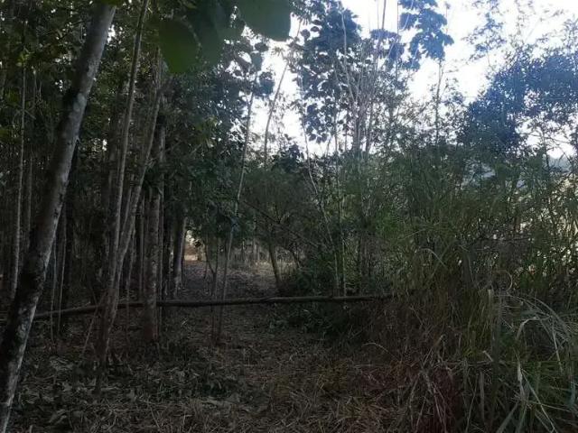 Terreno venda em Planície Alta, Guabiruba