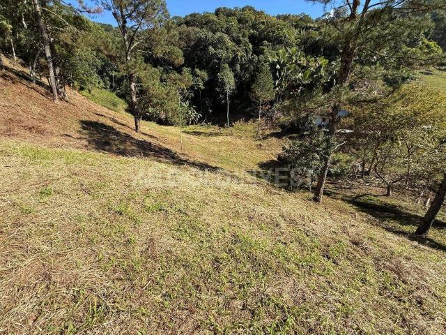 Terreno venda em Região Geográfica Imediata de Brusque, Guabiruba