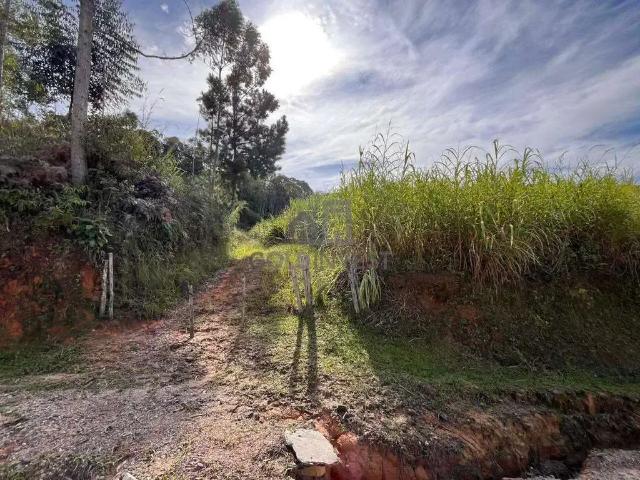 Terreno venda em Região Geográfica Imediata de Brusque, Guabiruba