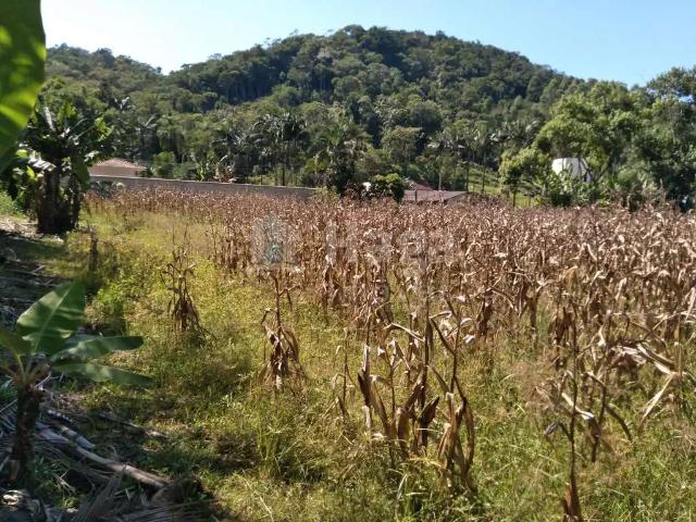 Terreno venda em Região Geográfica Imediata de Brusque, Guabiruba