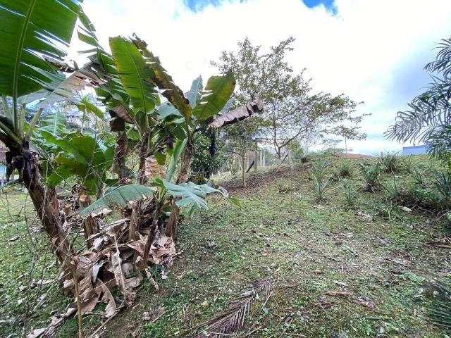 Terreno venda em Região Geográfica Imediata de Brusque, Guabiruba