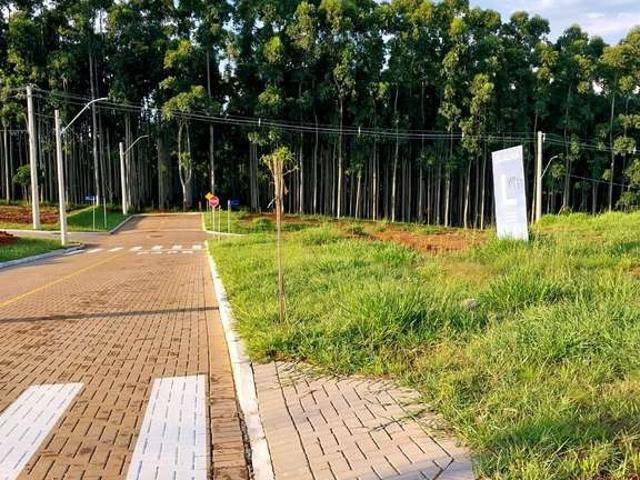 Terreno venda em Região Geográfica Imediata de Porto Alegre, Região Metropolitana de Porto Alegre