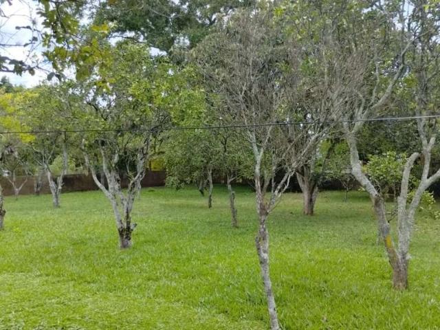 Terreno venda em Região Geográfica Imediata de Porto Alegre, Região Metropolitana de Porto Alegre