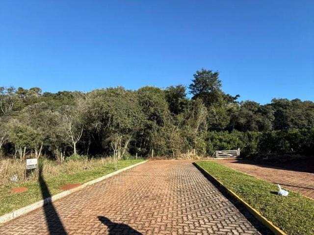 Terreno venda em Guaporé