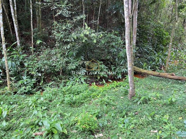 Terreno venda em Guaramiranga, Região Geográfica Intermediária de Fortaleza