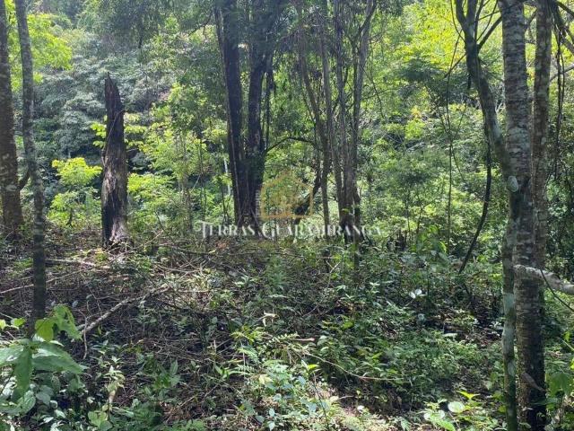Terreno venda em Guaramiranga, Região Geográfica Intermediária de Fortaleza