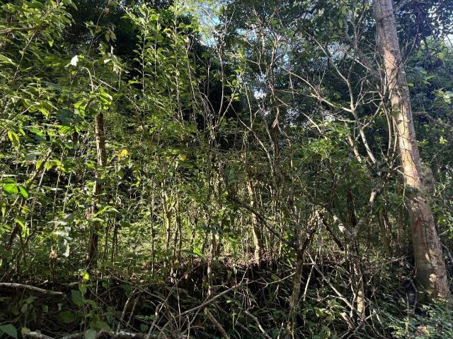 Terreno venda em Guaramiranga, Região Geográfica Intermediária de Fortaleza
