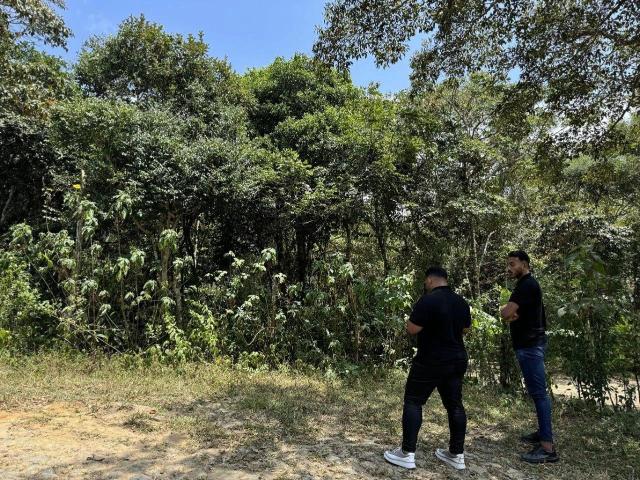 Terreno venda em Sítio Floresta, Guaramiranga