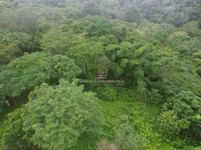 Terreno venda em Sítio Floresta, Guaramiranga