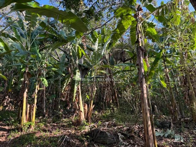 Terreno venda em Guaramiranga, Região Geográfica Intermediária de Fortaleza