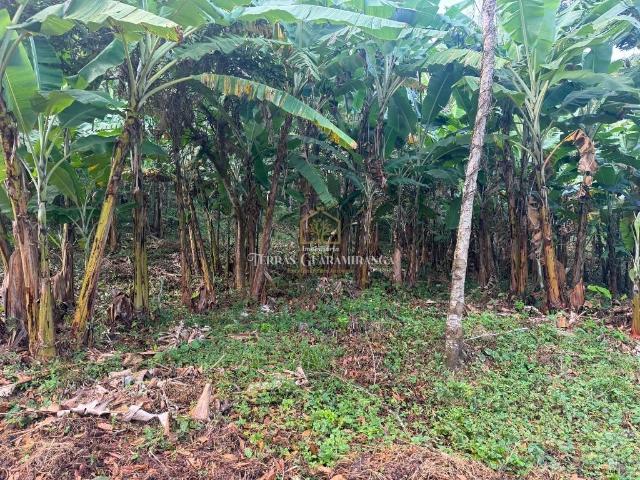 Terreno venda em Guaramiranga, Região Geográfica Intermediária de Fortaleza