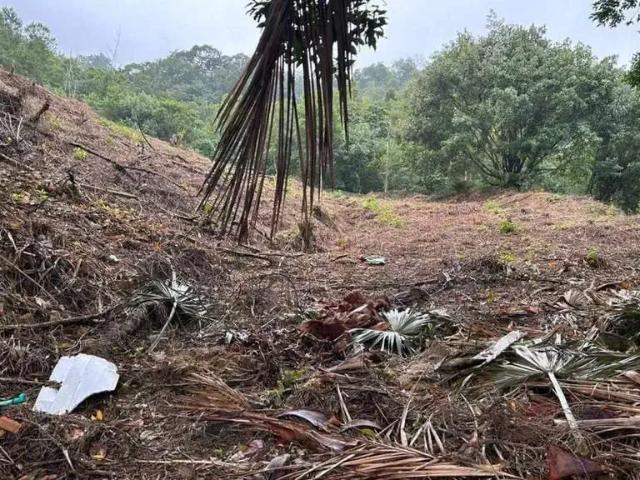 Terreno venda em Região Geográfica Imediata de Joinville, Guaramirim